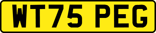 WT75PEG