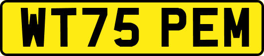 WT75PEM