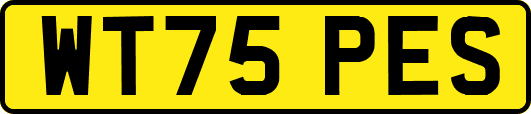 WT75PES