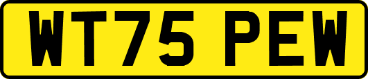 WT75PEW