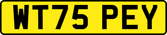 WT75PEY
