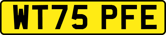 WT75PFE