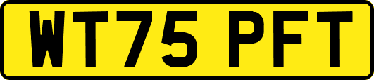 WT75PFT
