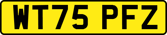 WT75PFZ
