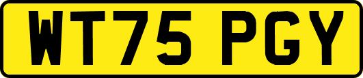 WT75PGY