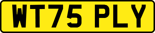 WT75PLY