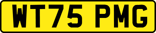 WT75PMG