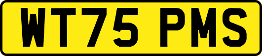 WT75PMS