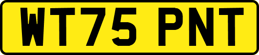 WT75PNT