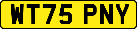 WT75PNY