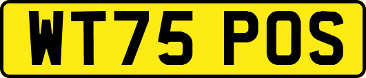 WT75POS