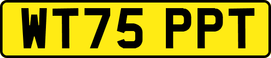 WT75PPT