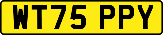 WT75PPY
