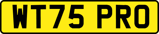 WT75PRO