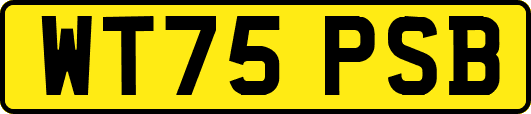 WT75PSB