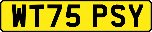 WT75PSY