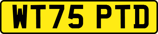 WT75PTD