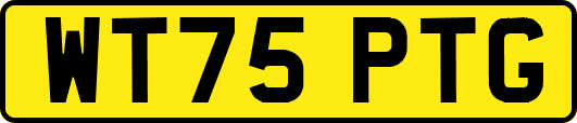 WT75PTG