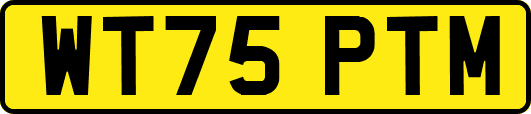 WT75PTM