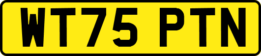 WT75PTN