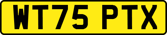 WT75PTX