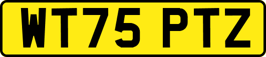 WT75PTZ