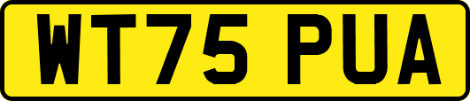 WT75PUA