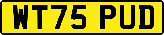 WT75PUD
