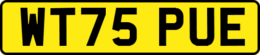 WT75PUE