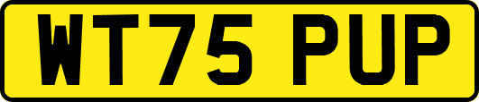 WT75PUP