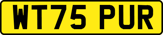 WT75PUR