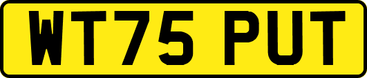 WT75PUT