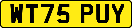 WT75PUY