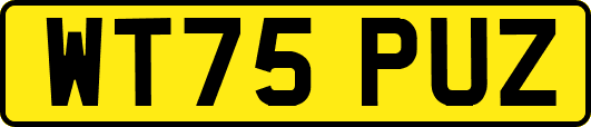 WT75PUZ