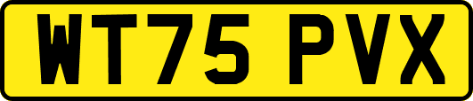 WT75PVX