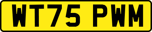 WT75PWM