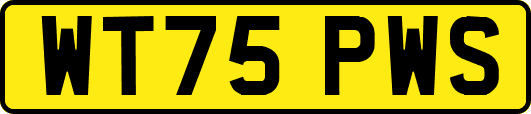 WT75PWS