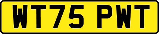 WT75PWT