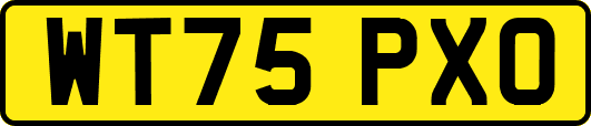 WT75PXO