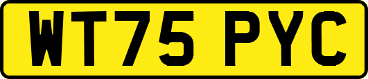 WT75PYC