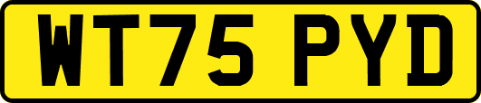 WT75PYD