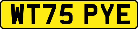 WT75PYE