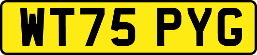 WT75PYG