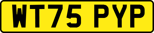 WT75PYP