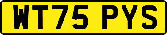 WT75PYS