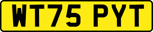 WT75PYT