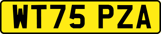WT75PZA