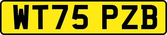 WT75PZB