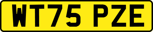 WT75PZE