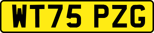 WT75PZG